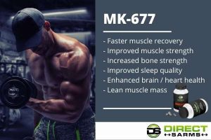 Does mk 677 build muscle